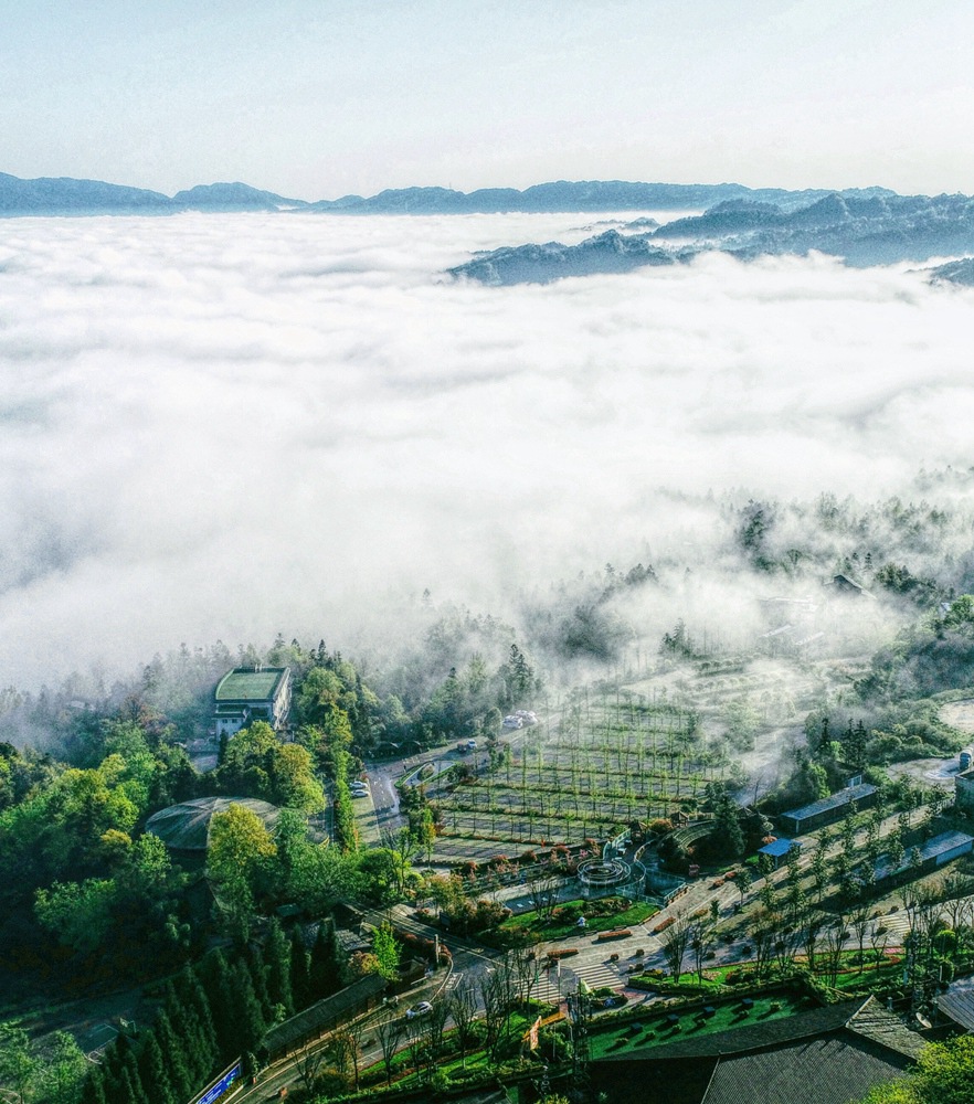 凯时娱乐人生就是博!(中国)官方网站